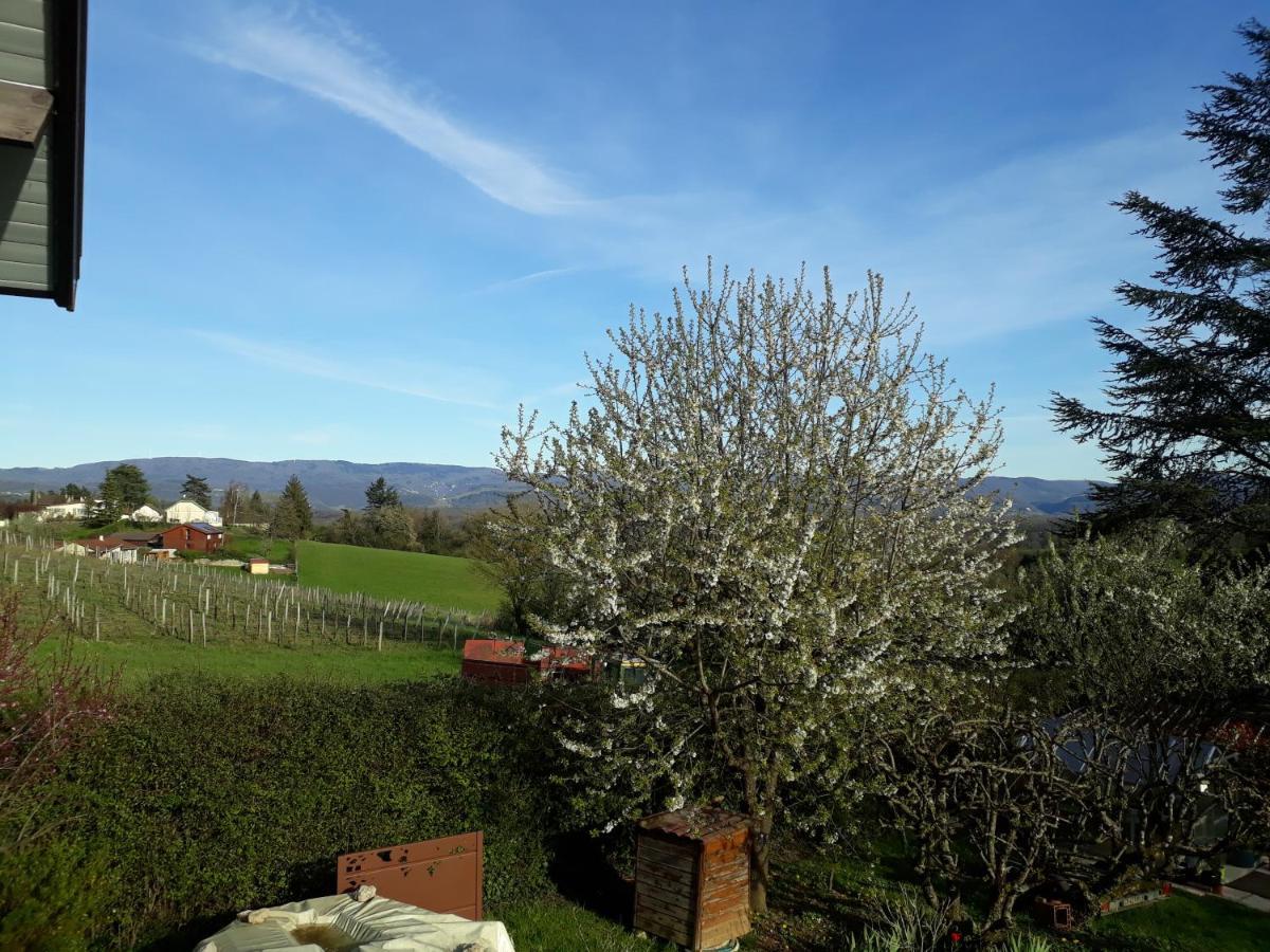 Chalet Norev Saint-Martin-du-Mont Bagian luar foto