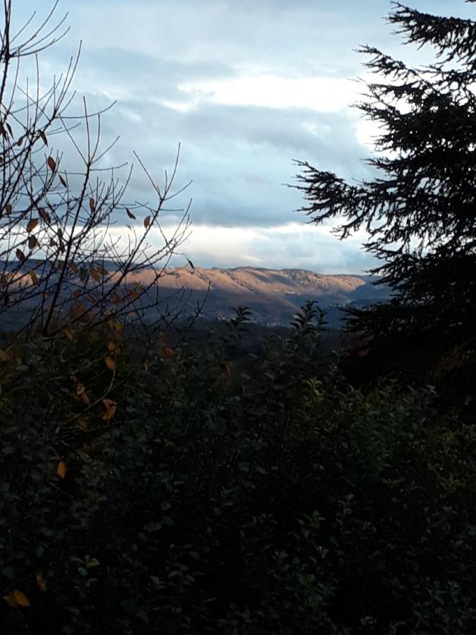 Chalet Norev Saint-Martin-du-Mont Bagian luar foto
