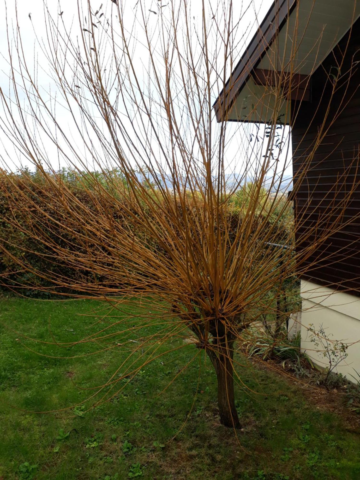Chalet Norev Saint-Martin-du-Mont Bagian luar foto